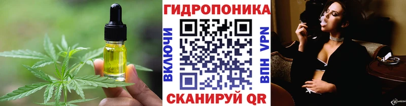 kraken зеркало Ленинградская сайты даркнета Telegram Cannafood марихуана